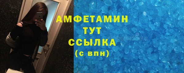 PSILOCYBIN Рославль