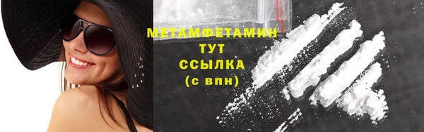 шишки Сатка