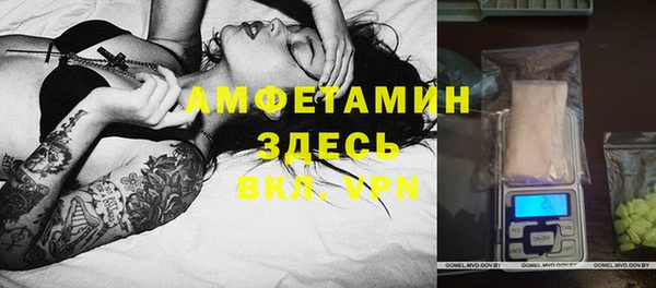 дмт Абаза