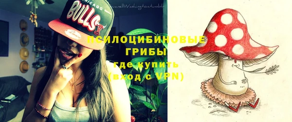 шишки Сатка
