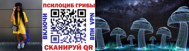 Галлюциногенные грибы Cubensis  Азнакаево 
